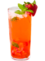 Снежноягодник